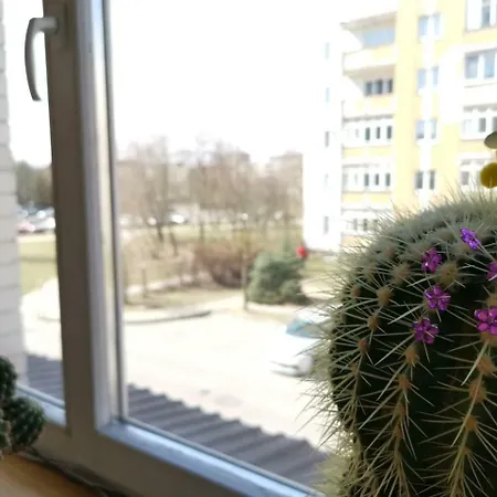 Tadas Apartamento